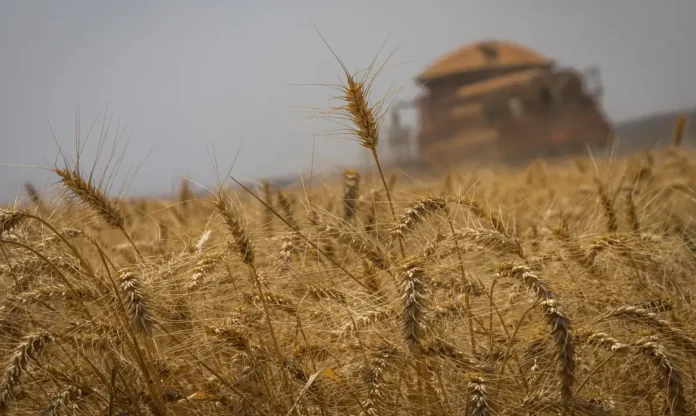 cna_banco_de_imagens_0806220289