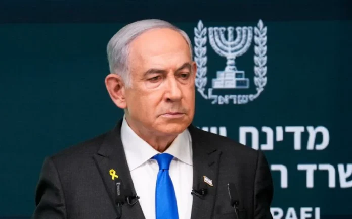 8022263810001w-e1727051327806-768x479 (2)