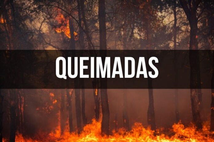 queimadas
