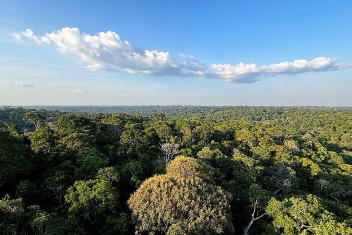 unnamed - 2025-04-12T170917.009