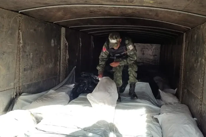 20250706111036-GC00068609-F00248268E