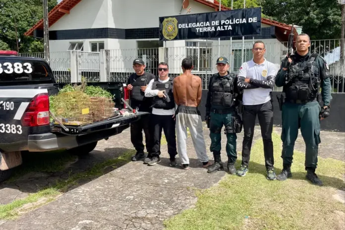 20250711133929-GC00068762-F00249324E