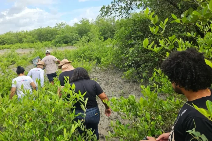 20250727213823-GC00069193-F00252333E