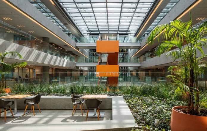 WhatsApp Image 2025-10-29 at 16.24.22