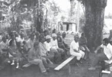 No Pará, Emater completa 60 anos de incentivo à inovação na agricultura familiar