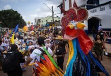 Arraial do Pavulagem abre o Cordão do Galo com o “Arraial Marajoara”, evento gratuito nesta sexta (18) com música ao vivo e feira de gastronomia e produtos do Marajó no Memorial dos Povos