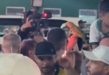 Vídeo: Amuleto de Penas; papagaio brilha entre torcedores no Allianz Parque em dia de título