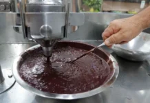 Câmara avança com projeto que cria programa nacional de incentivo à produção e exportação do açaí