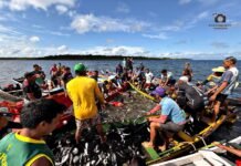 Pesca do mapará reúne tradição, geração de renda e preservação ambiental