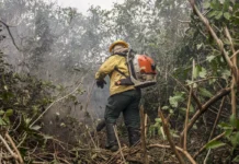 Incêdios no Amazonas resultam de ação humana intencional, diz ministro
